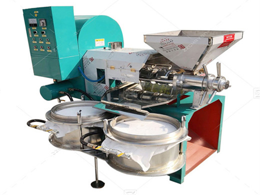 Máquina paraguaya de alta calidad para fabricar aceite de fruta de palma