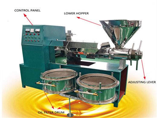 Máquina procesadora de aceite de palmiste blanqueado de maní bolivia