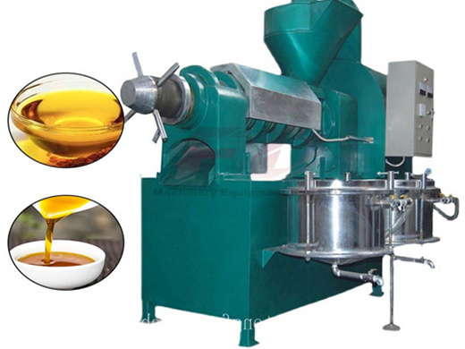 Máquina procesadora de aceite de semilla de palma de cáñamo de alta calidad
