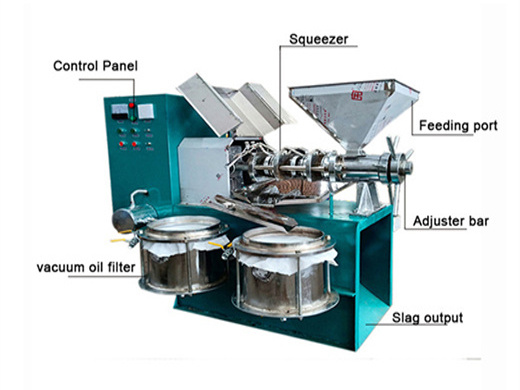 Máquina procesadora de aceite comestible de moringa de fácil uso en Caracas
