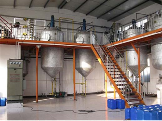 Máquina procesadora de aceite de fruta de palma de producción de 500 kg/h en Panamá
